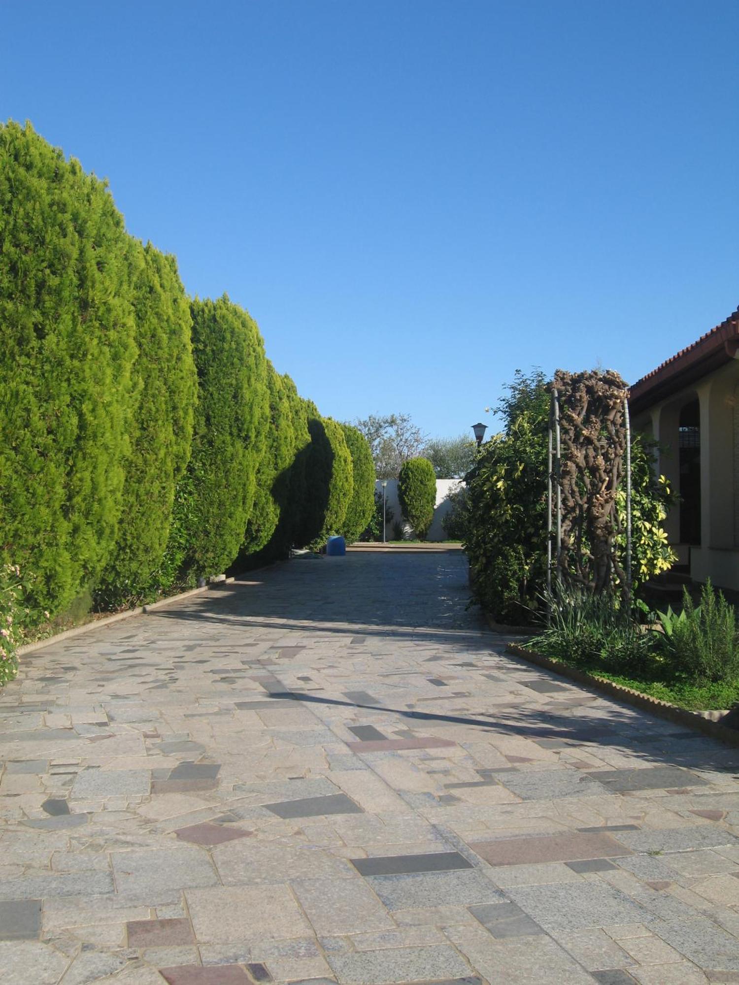 Villa Primavera Villa San Pietro Exteriör bild